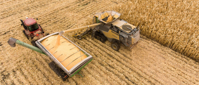 Rice harvester e1783568099626