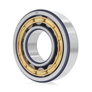 C Cylindrical roller bearings