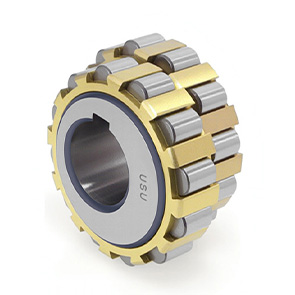 Z2 eccentric bearing