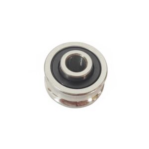 51797 -2RS/P6/TYZ1